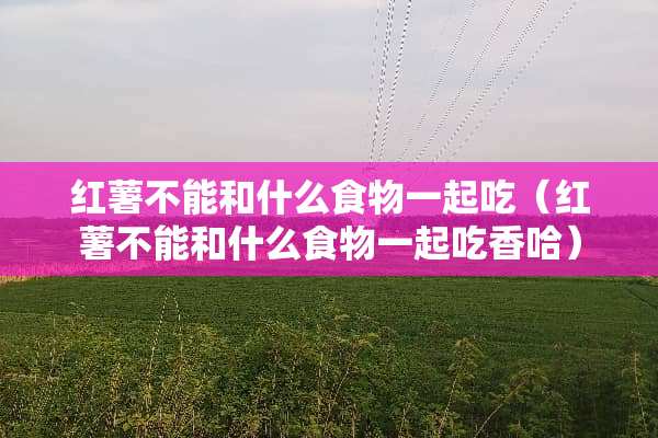 红薯不能和什么食物一起吃（红薯不能和什么食物一起吃香哈）