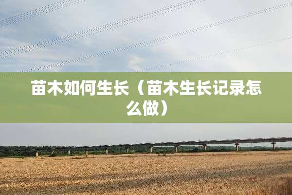 苗木如何生长（苗木生长记录怎么做）