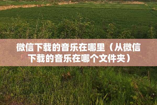 微信下载的音乐在哪里（从微信下载的音乐在哪个文件夹）