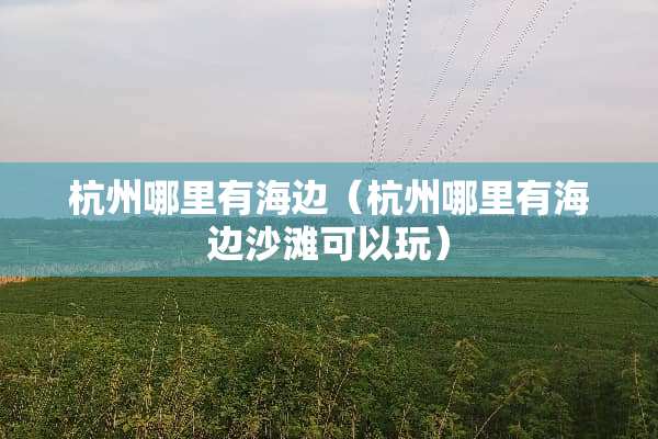 杭州哪里有海边（杭州哪里有海边沙滩可以玩）