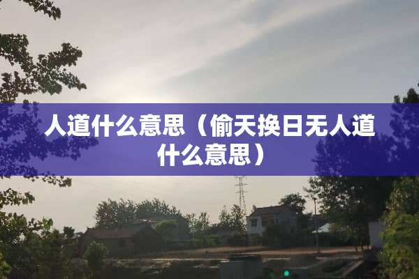人道什么意思（偷天换日无人道什么意思）