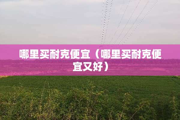 哪里买耐克便宜（哪里买耐克便宜又好）