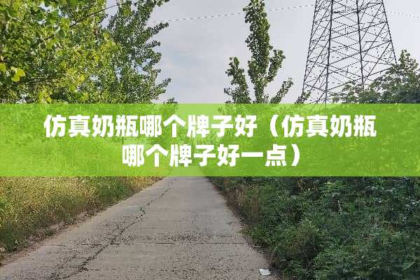 仿真奶瓶哪个牌子好（仿真奶瓶哪个牌子好一点）
