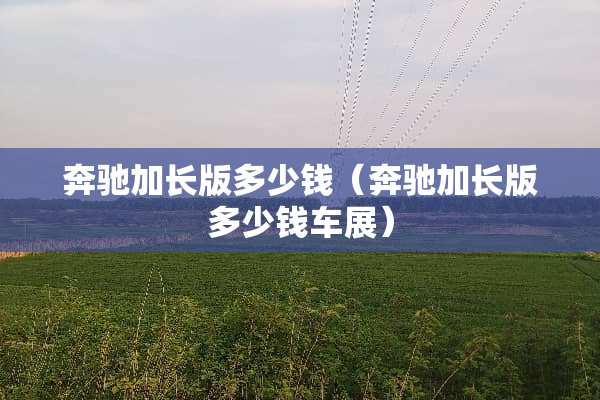 奔驰加长版多少钱（奔驰加长版多少钱车展）