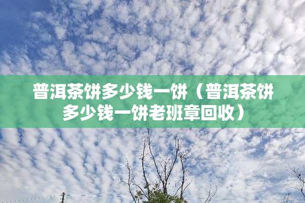 普洱茶饼多少钱一饼（普洱茶饼多少钱一饼老班章回收）