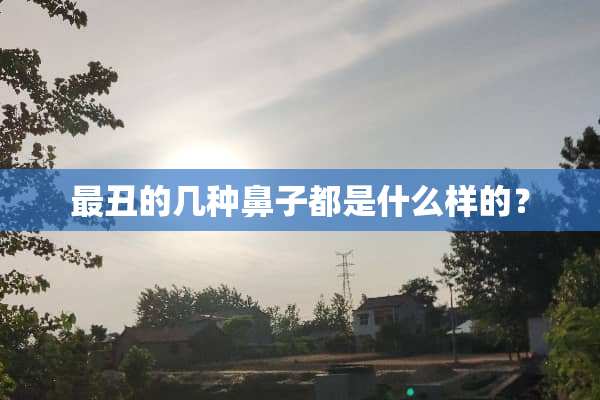 最丑的几种鼻子都是什么样的？