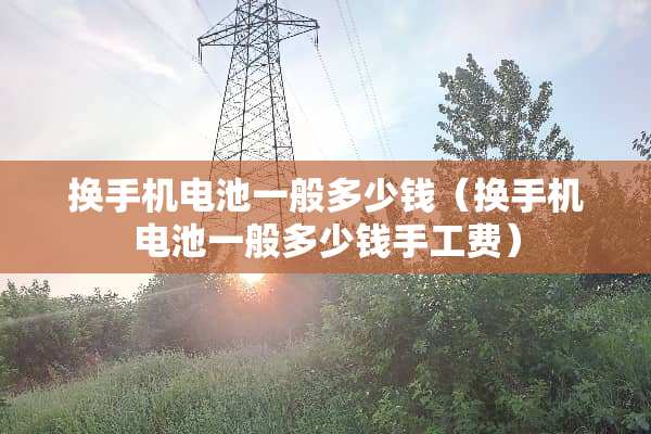 换手机电池一般多少钱（换手机电池一般多少钱手工费）