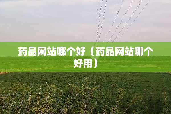 药品网站哪个好（药品网站哪个好用）