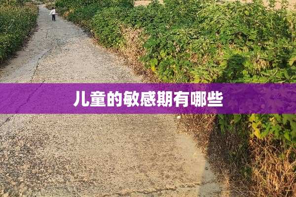 儿童的敏感期有哪些