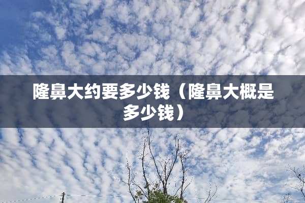 隆鼻大约要多少钱（隆鼻大概是多少钱）
