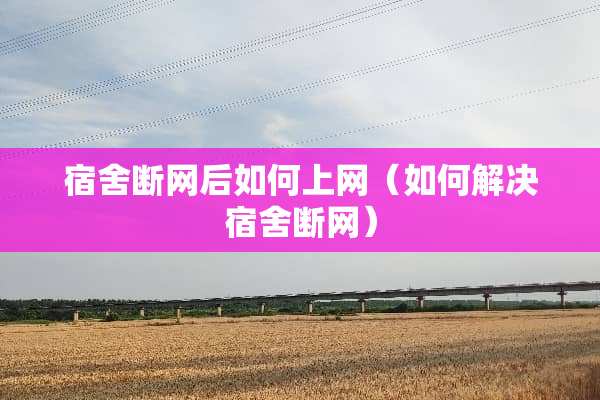 宿舍断网后如何上网（如何解决宿舍断网）