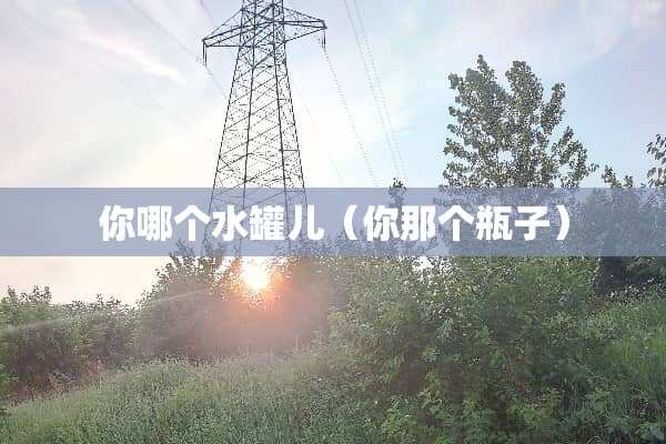 你哪个水罐儿（你那个瓶子）