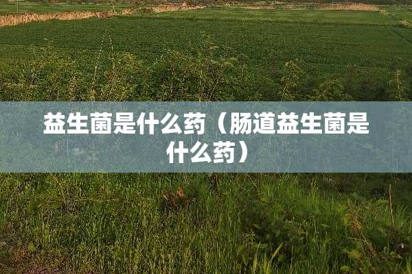 益生菌是什么药（肠道益生菌是什么药）
