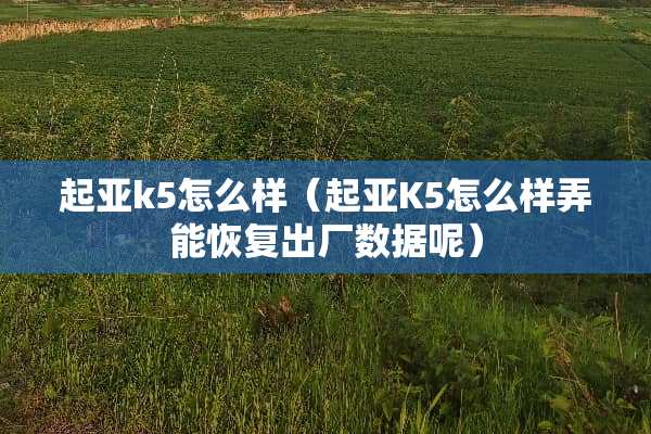 起亚k5怎么样（起亚K5怎么样弄能恢复出厂数据呢）