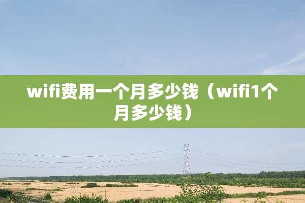 wifi费用一个月多少钱（wifi1个月多少钱）