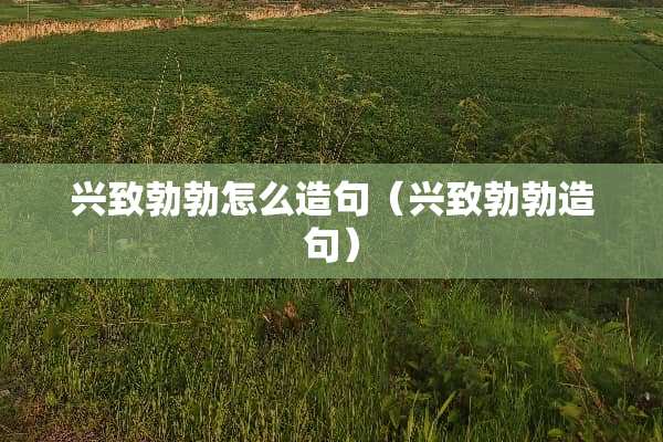 兴致勃勃怎么造句（兴致勃勃造句）