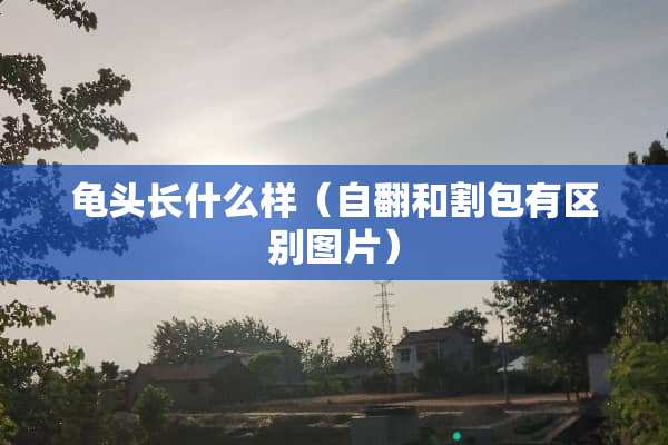 **长什么样（自翻和割包有区别图片）