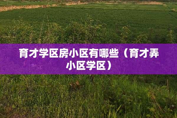 育才学区房小区有哪些（育才弄小区学区）