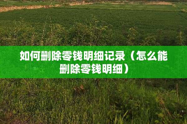 如何删除零钱明细记录（怎么能删除零钱明细）