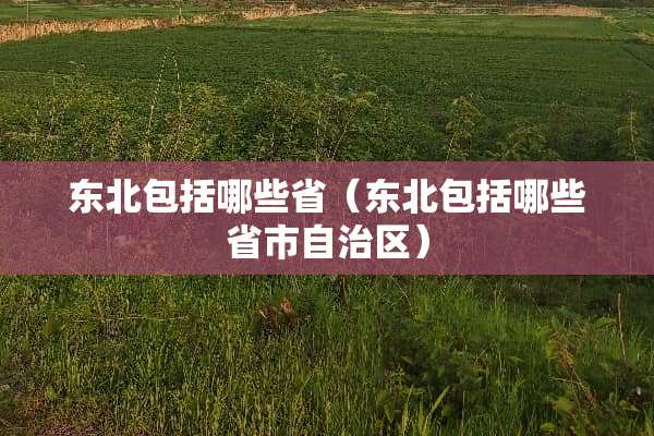 东北包括哪些省（东北包括哪些省市自治区）
