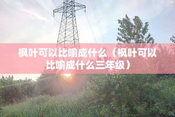枫叶可以比喻成什么（枫叶可以比喻成什么三年级）