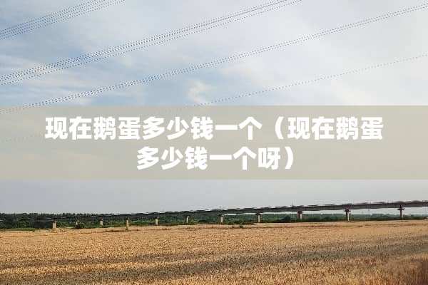 现在鹅蛋多少钱一个（现在鹅蛋多少钱一个呀）