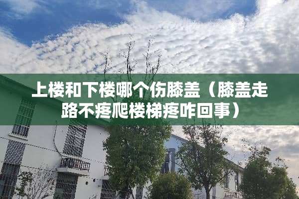 上楼和下楼哪个伤膝盖（膝盖走路不疼爬楼梯疼咋回事）