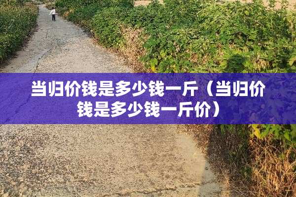当归价钱是多少钱一斤（当归价钱是多少钱一斤价）