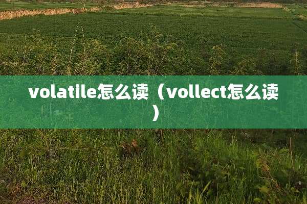 volatile怎么读（vollect怎么读）