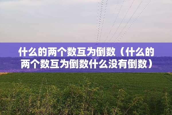 什么的两个数互为倒数（什么的两个数互为倒数什么没有倒数）