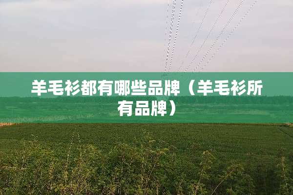 羊毛衫都有哪些品牌（羊毛衫所有品牌）