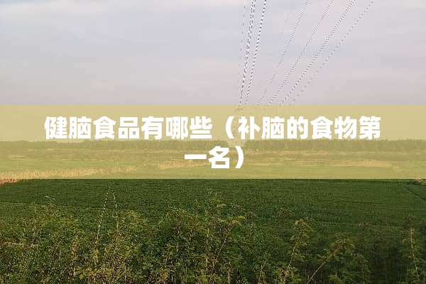 健脑食品有哪些（补脑的食物第一名）