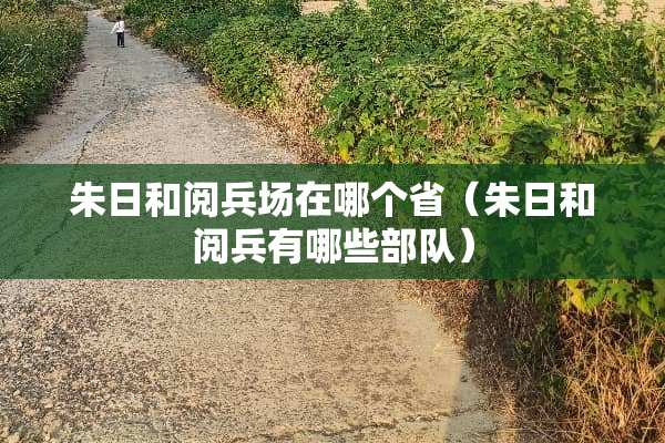 朱日和阅兵场在哪个省（朱日和阅兵有哪些**）