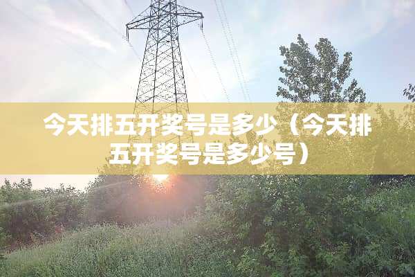 今天排五**号是多少（今天排五**号是多少号）