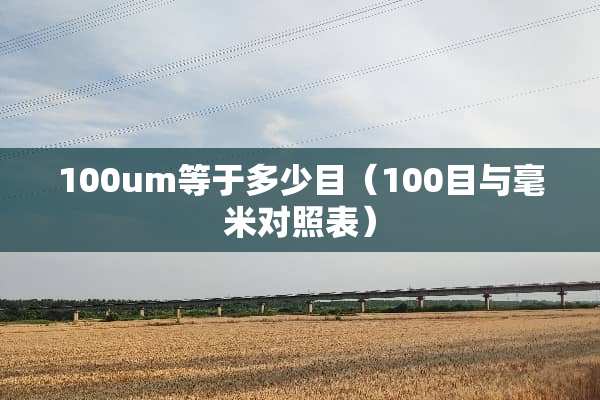 100um等于多少目（100目与毫米对照表）