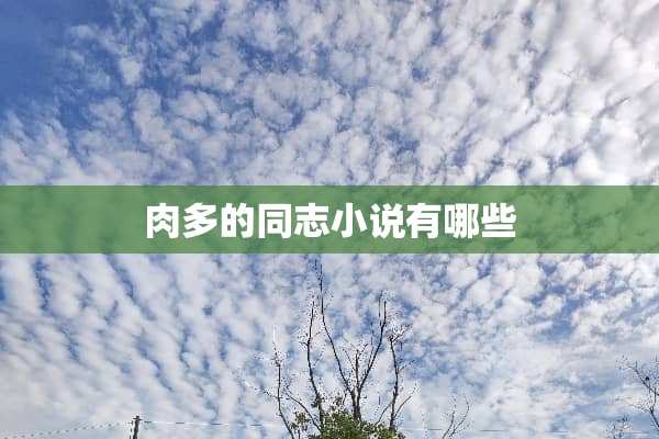 肉多的同志小说有哪些