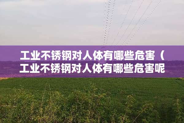 工业不锈钢对人体有哪些危害（工业不锈钢对人体有哪些危害呢）