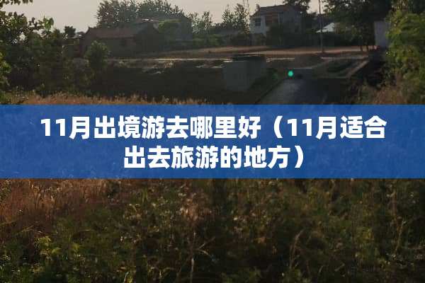 11月出境游去哪里好（11月适合出去旅游的地方）