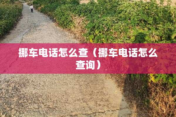 挪车电话怎么查（挪车电话怎么查询）