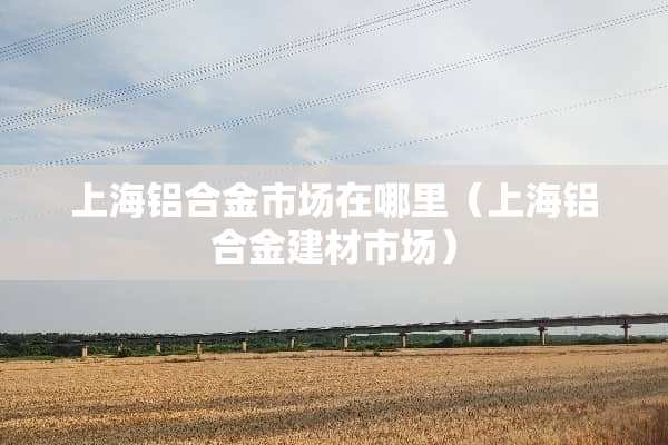 上海铝合金市场在哪里（上海铝合金建材市场）
