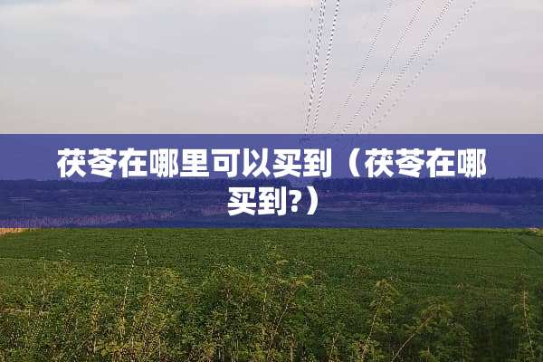茯苓在哪里可以买到（茯苓在哪买到?）