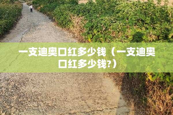 一支迪奥口红多少钱（一支迪奥口红多少钱?）