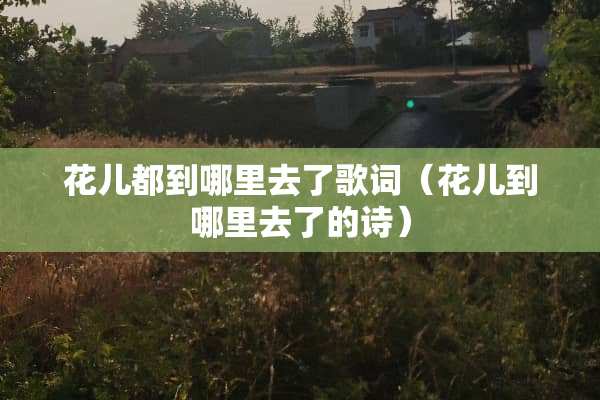 花儿都到哪里去了歌词（花儿到哪里去了的诗）