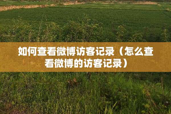 如何查看微博访客记录（怎么查看微博的访客记录）