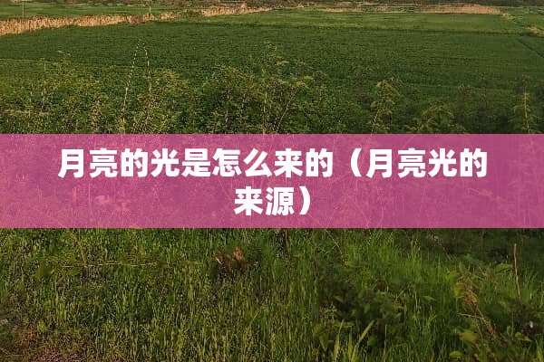 月亮的光是怎么来的（月亮光的来源）