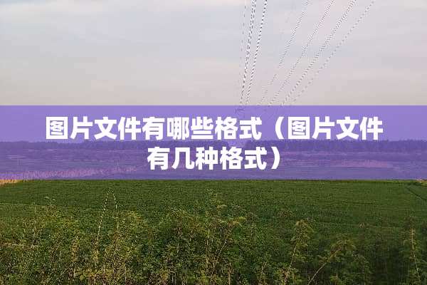 图片文件有哪些格式（图片文件有几种格式）