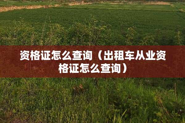 资格证怎么查询（出租车从业资格证怎么查询）