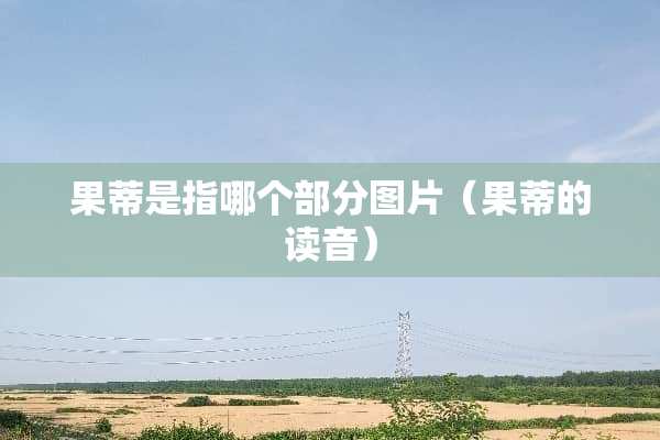 果蒂是指哪个部分图片（果蒂的读音）