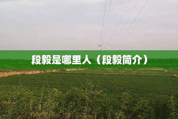 段毅是哪里人（段毅简介）