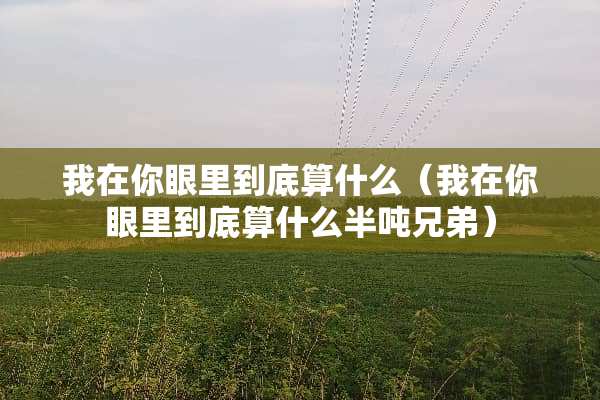 我在你眼里到底算什么（我在你眼里到底算什么半吨兄弟）